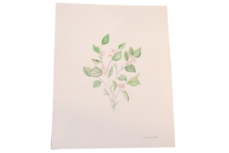 Katelyn Morse Original Painting "Growth" Botanical // ONH Item 7106