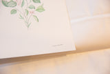 Handwritten signature of artist Katelyn Morse on the corner of the botanical painting.