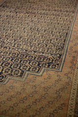 Antique Afshar carpet's navy field of seed botehs meets a pale terra cotta stepped border.
