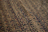 Antique Afshar rug detail showing germinating seed boteh pattern and even wear.