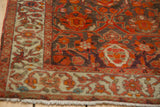 Even low pile and delicate vinery on the ivory border of an antique Persian Malayer rug.
