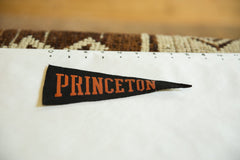Mini Vintage Princeton Felt Flag Pennant Image 1