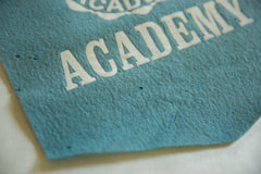 Vintage Air Force Academy Felt Banner Image 3