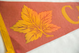 Reddish-orange felt of vintage Canada pennant, with yellow maple leaf veining and border.