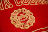 The 1946 Sampson seal for Associated Colleges of Upper New York on a vintage red felt banner.