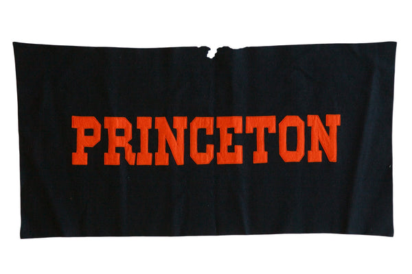 Vintage Princeton University Felt Banner