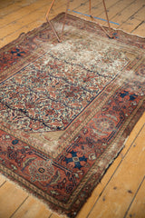 Madder root red border with pinwheel flowers and indigo accents on the tattered Malayer rug.