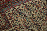 Antique Caucasian rug field with ivory, red, navy geometric plant motifs, showing visible wear.