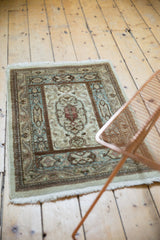 Ivory fringe and Rococo vinery border of a vintage Tabatabaie Tabriz rug mat.
