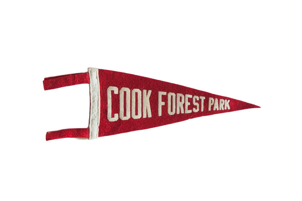 Vintage Cook Forest Park Felt Flag Pennant // ONH Item 7429