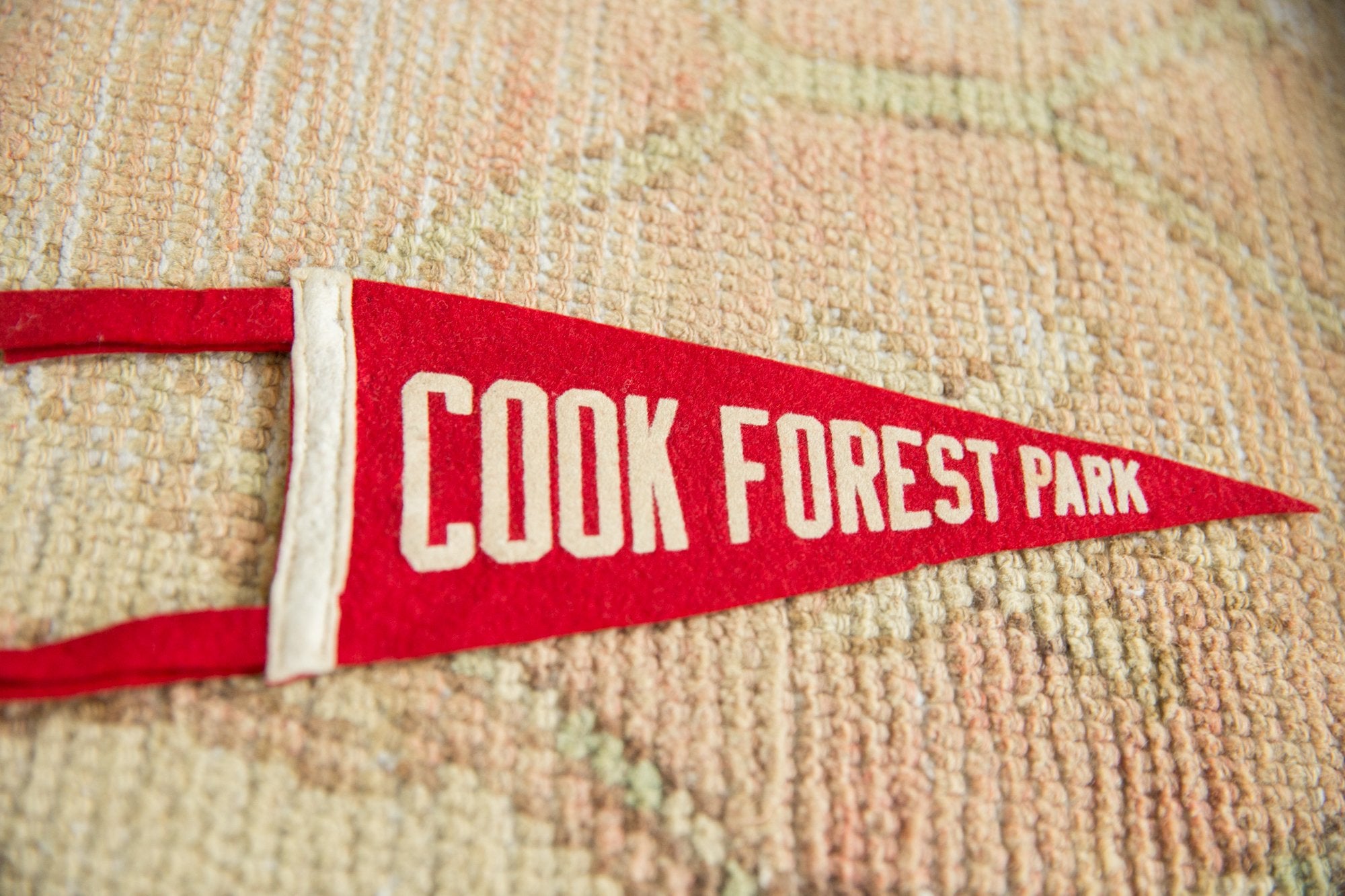 Vintage Cook Forest Park Felt Flag Pennant // ONH Item 7429 Image 1
