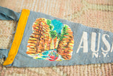 Colorful gorge illustration with boat and white 'AUSA N.Y.' text on blue felt.