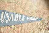 Light blue vintage Ausable Chasm felt pennant tip with distressed white lettering.