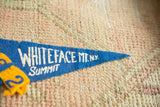 Vintage blue felt pennant, 