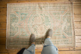 Pale blush and seafoam Oushak rug revealing distressed pile and plant vinery pattern.