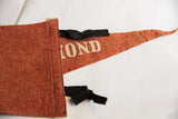 Rust-colored felt texture with visible creasing and black ties on vintage Richmond flag.
