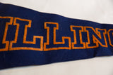 Close-up of orange 'ILLIN' felt letters on a vintage University of Illinois flag.