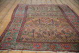 Angled view across the gold ground and sprawling vinery of an antique Farahan Sarouk rug.