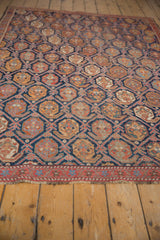 Antique Afshar hand-knotted rug: indigo blue lattice boteh design with multi-color fills, red border.