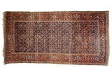 Antique Persian Fereghan carpet, allover Herati pattern, navy field, brick red border. 4'10
