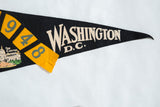 Vintage Washington DC felt pennant, white 