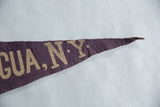 The tapered dark purple felt tip of the vintage pennant.