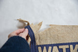 Torn beige wool felt and hand-sewn blue trim on vintage banner held by hand.