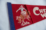 Vintage red felt flag detail: cowboy on bronco graphic with white 
