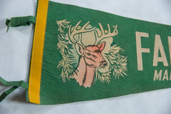 Vintage Farmington Maine Felt Flag // ONH Item 8656 Image 2