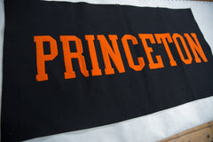 Vintage Princeton Felt Flag Banner // ONH Item 8670 Image 1