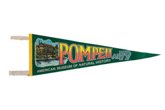 Vintage Pompeii Flag Pennant // ONH Item 8677
