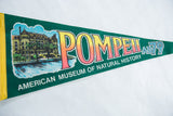 Vibrant 'POMPEII AD 79' text and museum building graphic on green felt pennant.