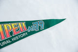 Angled view of Vintage Pompeii felt pennant showing blue 'AD 79' and pointed end.