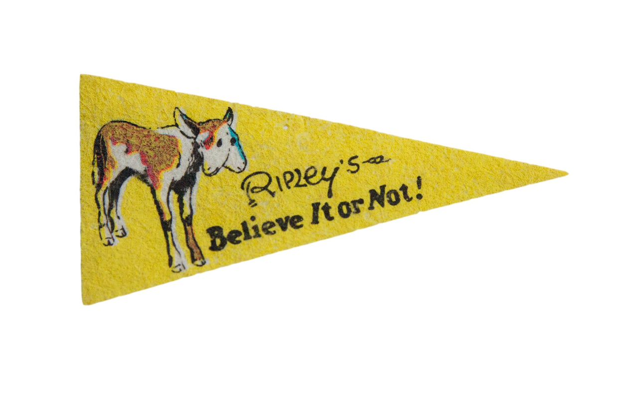 Vintage Ripley's Believe it or Not Mini Flag Pennant // ONH Item 8682