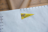 Vintage Ripley's Believe It or Not felt pennant showing unusual animal graphic and text.
