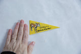 Vintage Ripley's Believe It or Not mini felt pennant, shown with hand for scale.