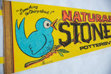 Close-up of the cartoon bluebird and 