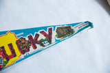 Vintage Kentucky felt pennant showcasing Lincoln's Birthplace graphic and curled blue tip.