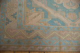 Reciprocating wave and zig-zag borders in pale denim blue, mauve, and beige on a Soumac runner.