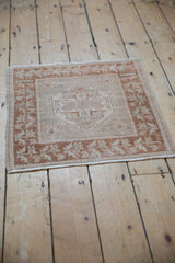 Ivory and copper bronze diamond medallion with germinating plant motif on distressed Oushak rug.