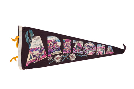 Vintage Arizona Felt Flag // ONH Item 8848