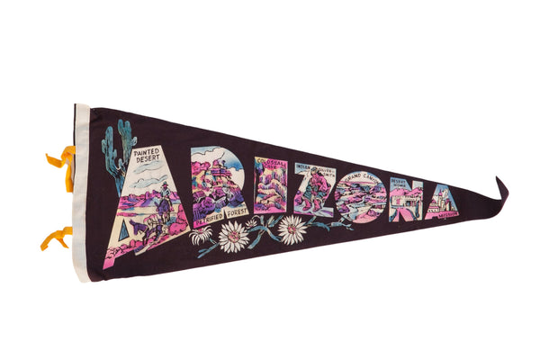 Vintage Arizona Felt Flag // ONH Item 8848