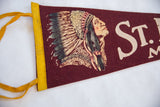 Close-up of Native American chief's profile on burgundy felt banner with 