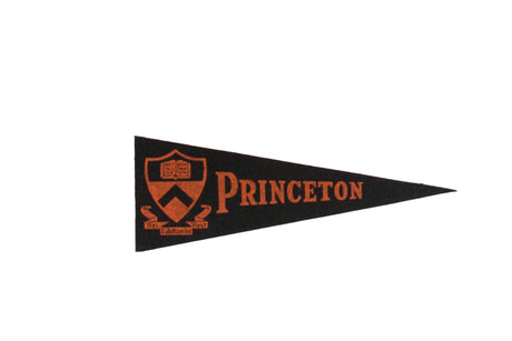 Vintage Princeton University Felt Flag // ONH Item 9173