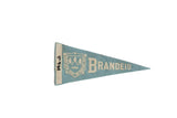 Vintage Brandeis University felt pennant flag, blue and white with 1962 and school crest.