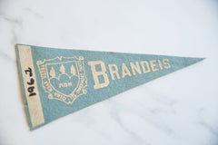 Vintage Brandeis University Felt Flag // ONH Item 9180 Image 1