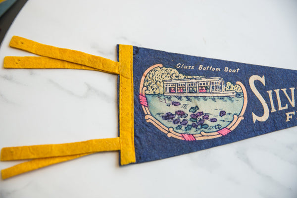 Vintage Silver Springs Florida Felt Flag // ONH Item 9190 Image 1