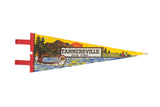 Vintage Tannersville New York felt pennant with a canoe and mountain landscape graphic.