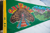 Kings Dominion felt pennant, 'The Grizzly' bear graphic on vivid green with yellow edge.
