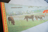Vintage Lexington Kentucky Horse Park felt flag with printed text and colorful stripes.